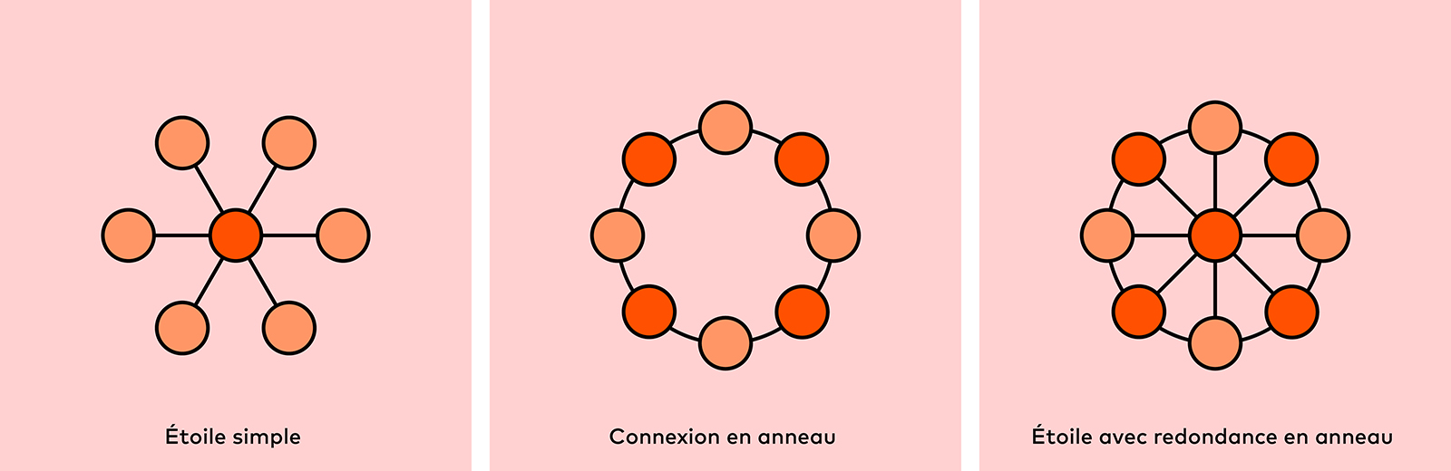 Topologies Physiques Courantes en Fibre Optique